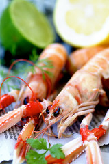 Delicious Raw Langoustines