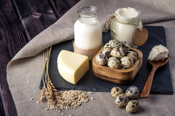 Eco farm products milk, cheese, sour cream, yogurt, eggs on dark wooden background. Concept of home made natural food