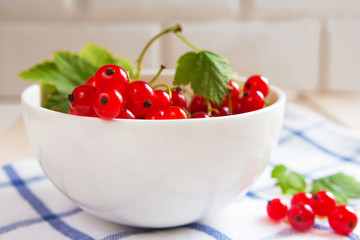 Berries of a red currant in a white ceramic bowl on a rural style tablecloth with copy space, concept of eco-nutrition and vegetarianism