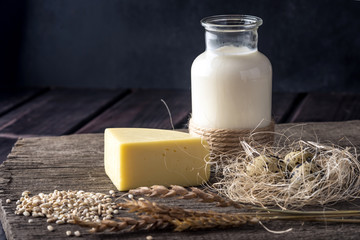 Eco farm products milk, cheese, yogurt, eggs on dark wooden background. Concept of home made natural food