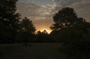 beauty vibrant summer sunrise in nature, sun beams through clouds