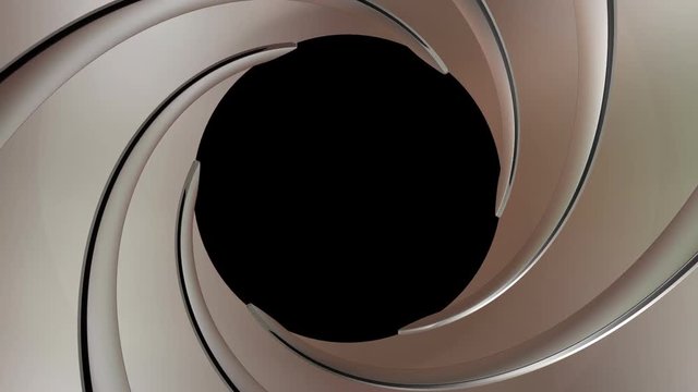 gun barrel rotate