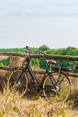 Fototapeta na wymiar Electric bicycle with basket in Dutch national park The Veluwe