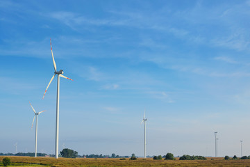 Landscape of wind farms