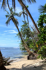 Tropical Beach in Caribbean Sea, Cahuita, Costa Rica