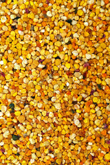 Bee pollen texture