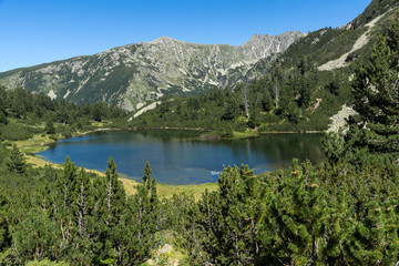 Fototapeta na wymiar Amazing Landscape with Fish Vasilashko lake, Pirin Mountain, Bulgaria