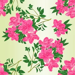 Fotobehang Tropische Bladeren Seamless texture twig pink rhododendron  with flowers and leaves   vintage vector editable botanical illustration hand draw  © zdenat5