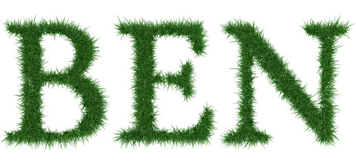 Ben - 3D rendering fresh Grass letters isolated on whhite background.