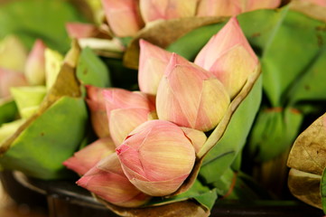 Bouquet of lotus bud in flower market