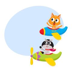 Cute funny animal pilot characters flying on airplane - cat and raccoon, cartoon vector illustration with space for text. Little baby cat and raccoon characters flying on airplane