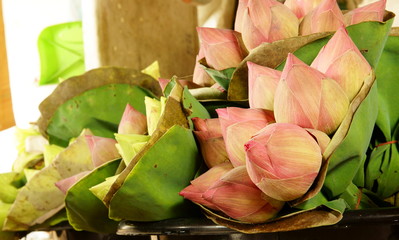 Bouquet of lotus bud in flower market