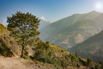 Fototapeta na wymiar View of the Machapuchare on the Annapurna Base Camp Trek, Nepal