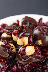 Hazelnut and cranberries in chocolate