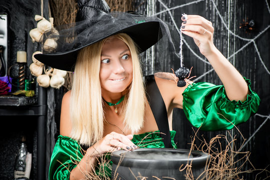 The witch in a hat holds a spider over a pot of potions