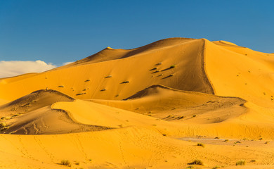 Naklejka na ściany i meble Dunes of Erg Chebbi near Merzouga in Morocco