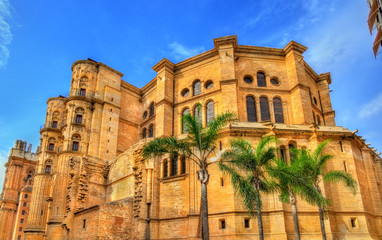 Fototapeta na wymiar View of the city hall in Cadiz, Spain