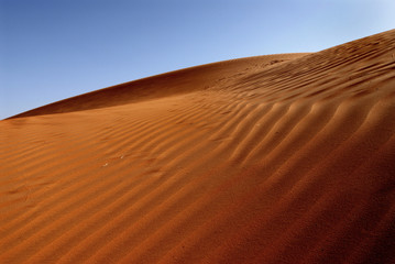 Fototapeta na wymiar dune in Mauritania