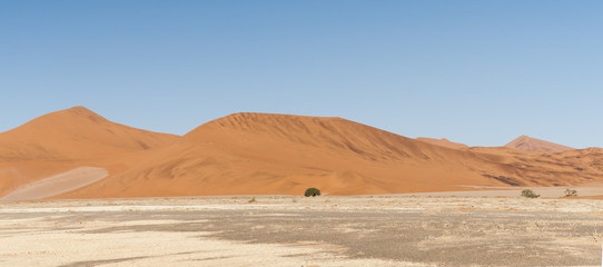 Fototapeta na wymiar Dunes in the Namib Desert / Dunes in the Namib Desert to the horizon, Namibia, Africa.