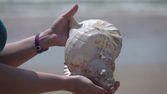 High quality video of hands holding shell by the ocean in real 1080p slow motion 250fps
