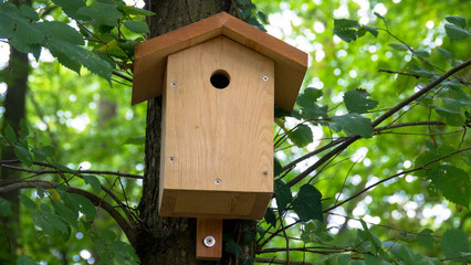 Nistplatz für Vögel im Wald
