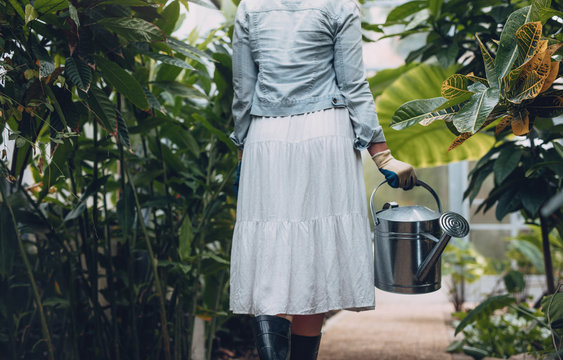 Female gardener watering plants in greenhouse