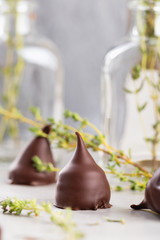 Homemade praline chocolate candies