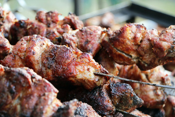 Shish kebab on the skewer