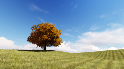 Fototapeta na wymiar Autumn sing tree 3D render
