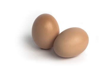 Egg