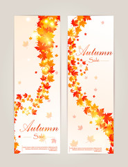 Autumn card and other typography flyer template with lettering. Bright fall leaves. Poster, label, banner. Vector