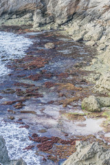Ocean water rushing into colorful  tide pools