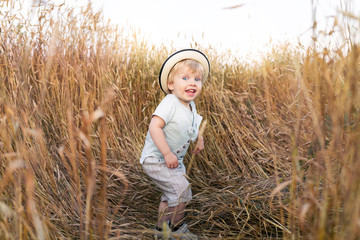 Naklejka na ściany i meble Little boy in Straw hat on a wheat field in the sunlight enjoying nature. Fresh air, freedom and health environment concept