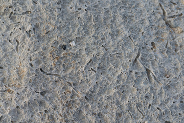 Close up, isolated shot of lava rock with patterns