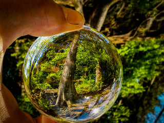 Natur