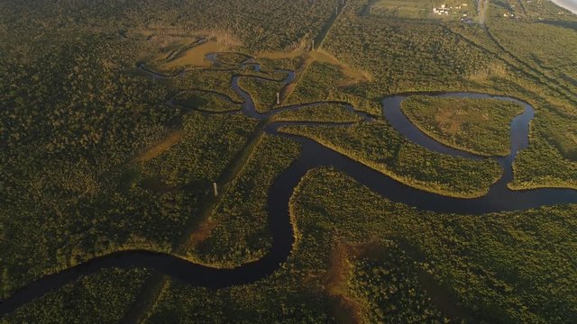 Amazon Rainforest in Brazil