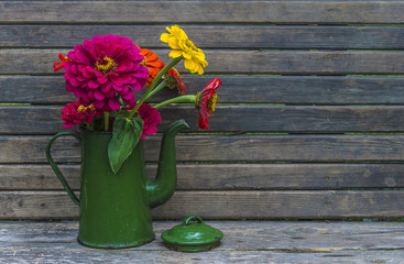 gardening concept/bright zinnia flowers in vintage coffee pot
