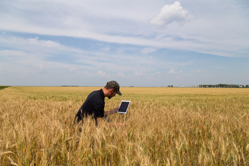 Fototapeta na wymiar Agronomist with a Tablet in an Agricultural Field