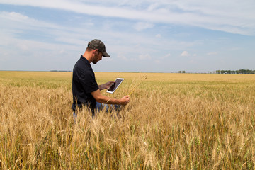 Naklejka na ściany i meble Agronomist with a Tablet in an Agricultural Field