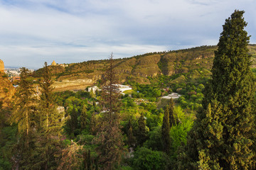Fototapeta na wymiar Tbilisi Botanical Garden, panorama view on forest from Narikala fortress. Georgia country.