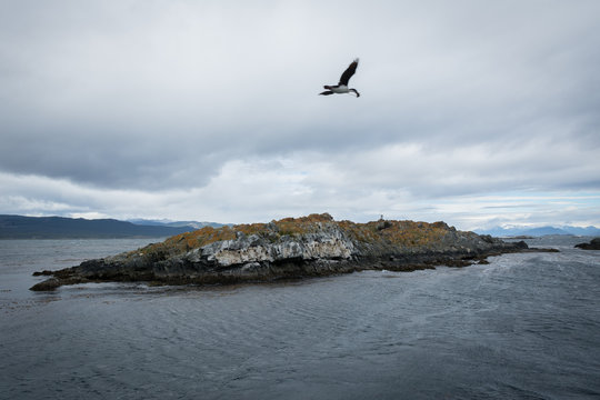 Argentina, Patagonia,Tierra del Fuego National Park, Ushuaia,Beagle Channel