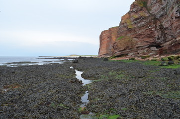 Felswatt an der Steink&uuml;ste der deutschen Hochsee-Insel Helgoland