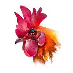 painted head of a cock on white background © khius