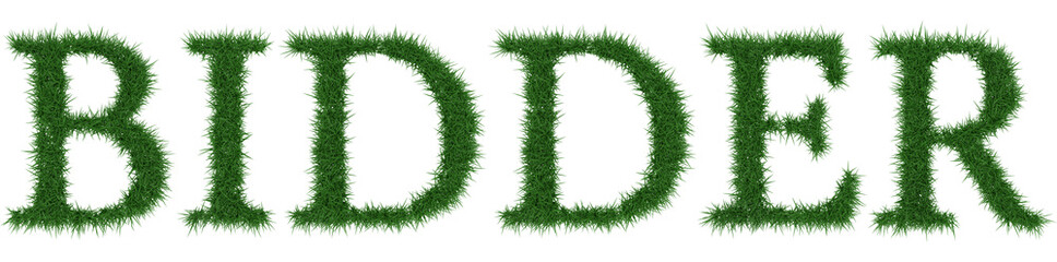 Bidder - 3D rendering fresh Grass letters isolated on whhite background.