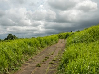 Fototapeta na wymiar Campuhan Ridge Walk through a hills with green meadows in the town of Ubud, Bali
