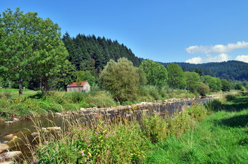 Dreisam im Sp&auml;tsommer