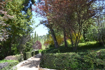 Fototapeta premium La Alhambra, Granada