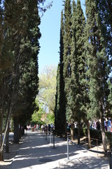 La Alhambra, Granada