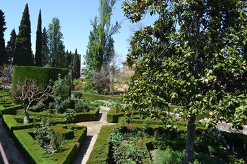 La Alhambra, Granada - 169453454