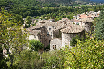 Fototapeta na wymiar The Chateau of Vogue on the banks of the Ardeche in France